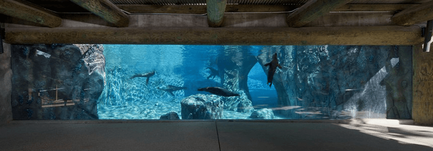 New SeaLion Exhibit